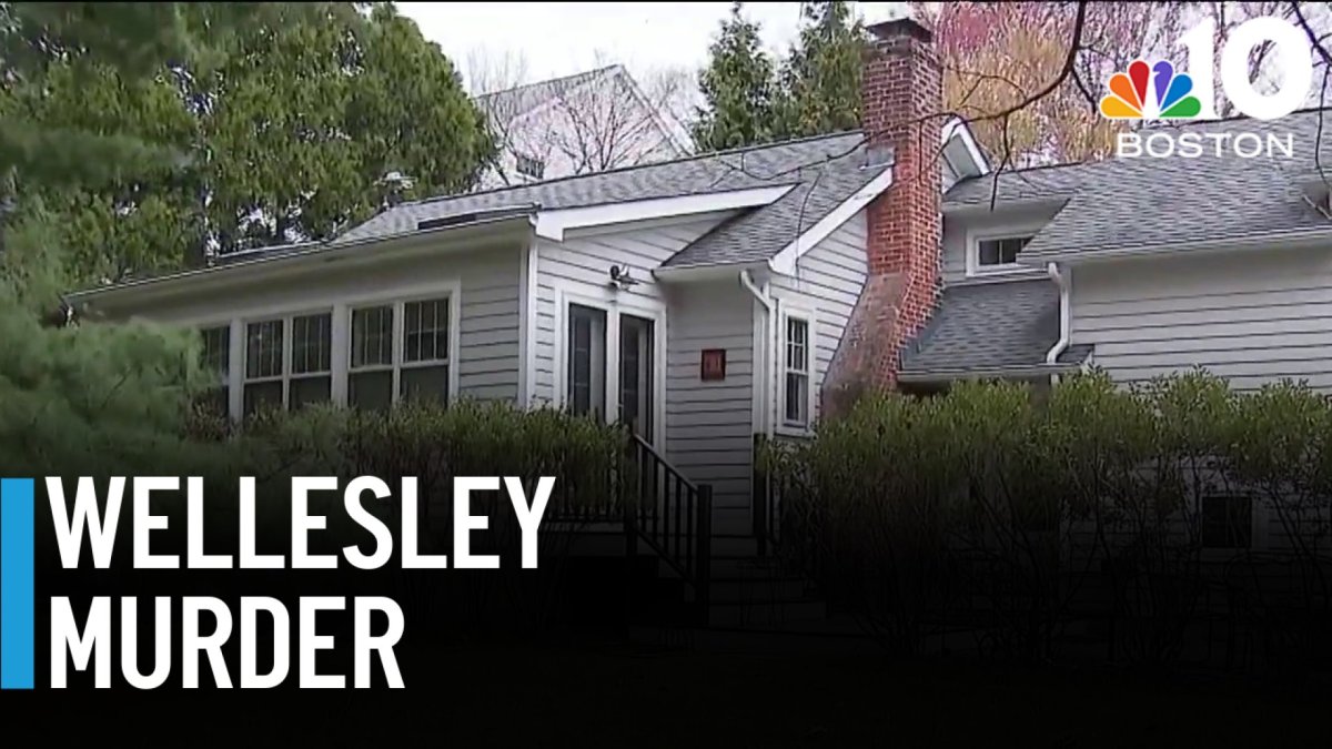 New details in case of Wellesley mother accused of murdering her 2 ...