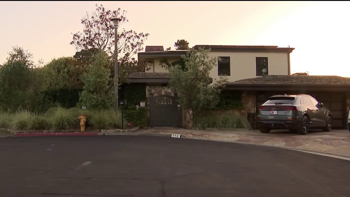 palantir stock price target