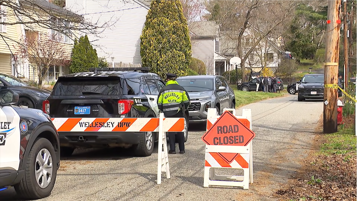 Mother facing murder charges in deaths of her 2 young children in Wellesley