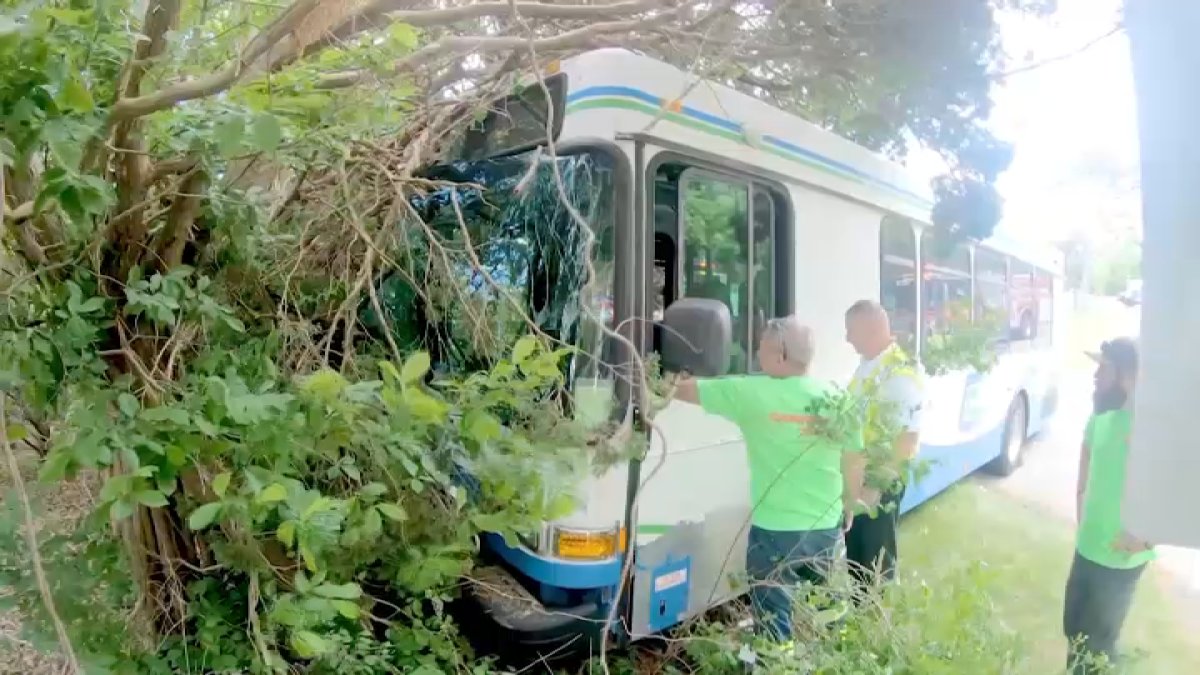 6 people transported to hospital after Cape Cod bus crash