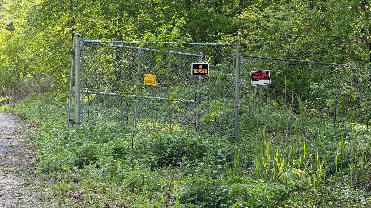 Large scale cockfighting ring under investigation in Tolland, Conn.