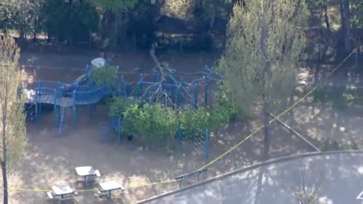 3 hurt after tree falls outside Melrose school