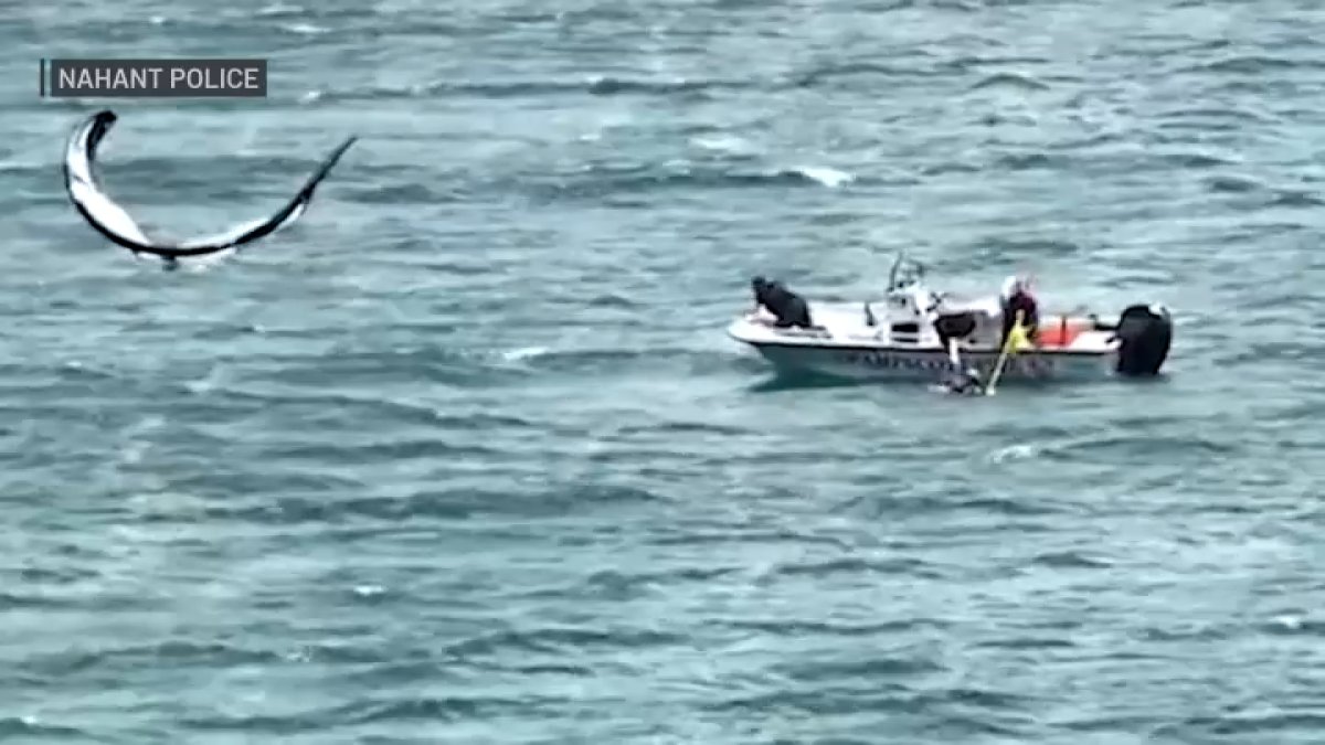 Kitesurfer rescued off Nahant Beach thanks to young son