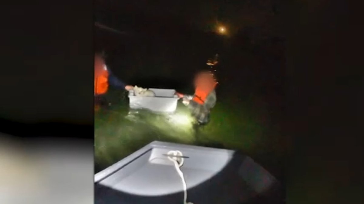 Dramatic video: Brothers, dog rescued from water after Mass. sailboat incident