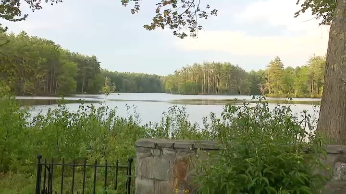 Boy pulled from pond in Andover is local middle school student, district says