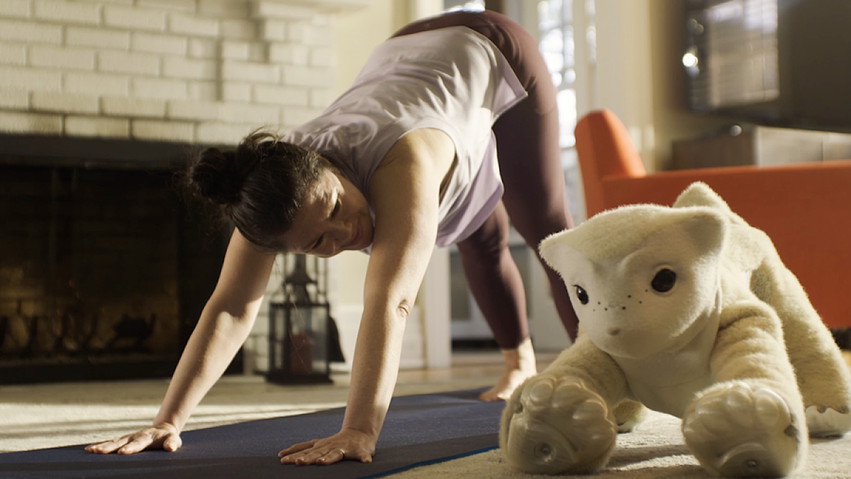Meet the ‘Familiar,' IRobot founder's new ‘abstracted bear' robot