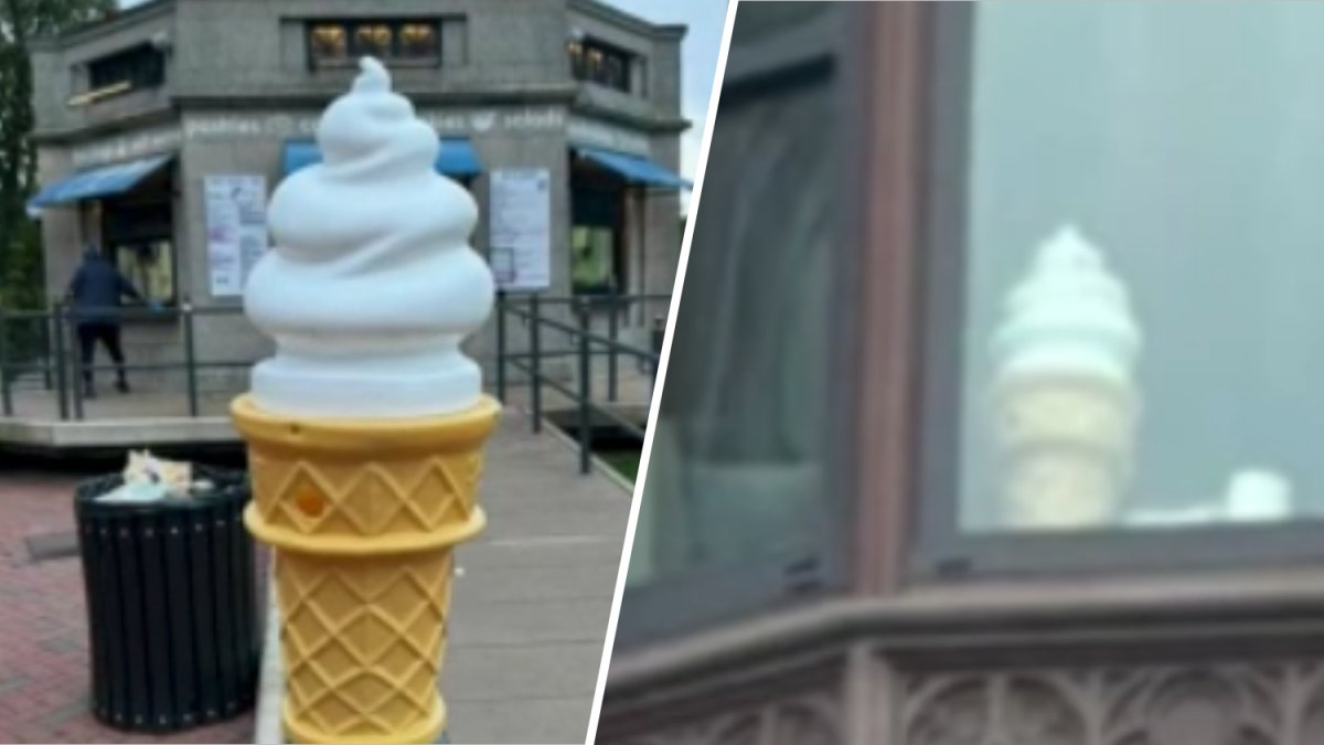 Flour Bakery offers reward for stolen mascot