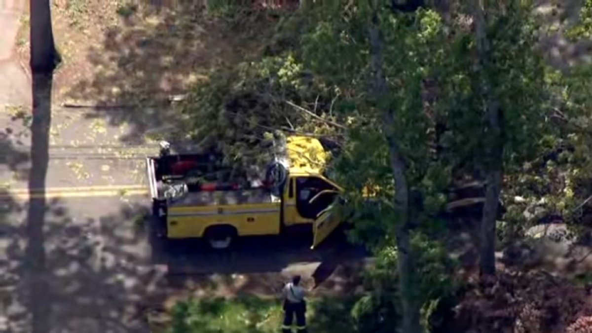 Falling tree hits off-duty firefighter in Framingham; officials say he saved o...