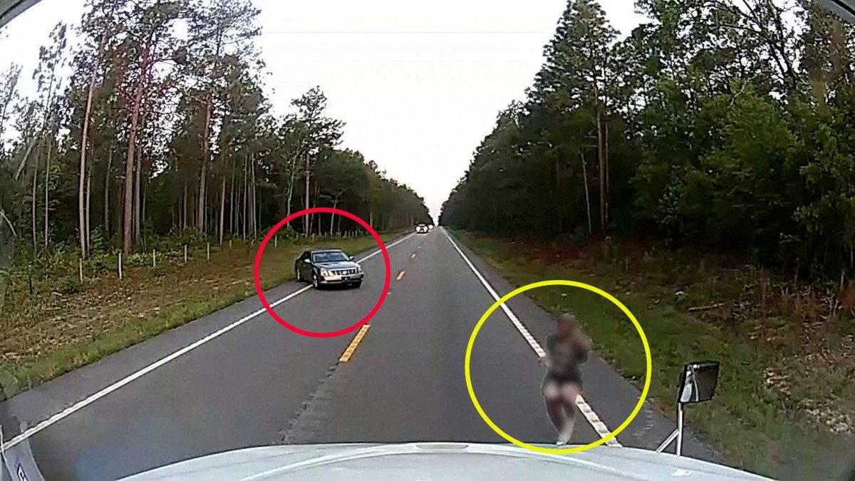 Truck driver rescues woman after attempted kidnapping in South Carolina ...