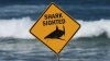 Woman hospitalized with possible shark bite on Martha's Vineyard