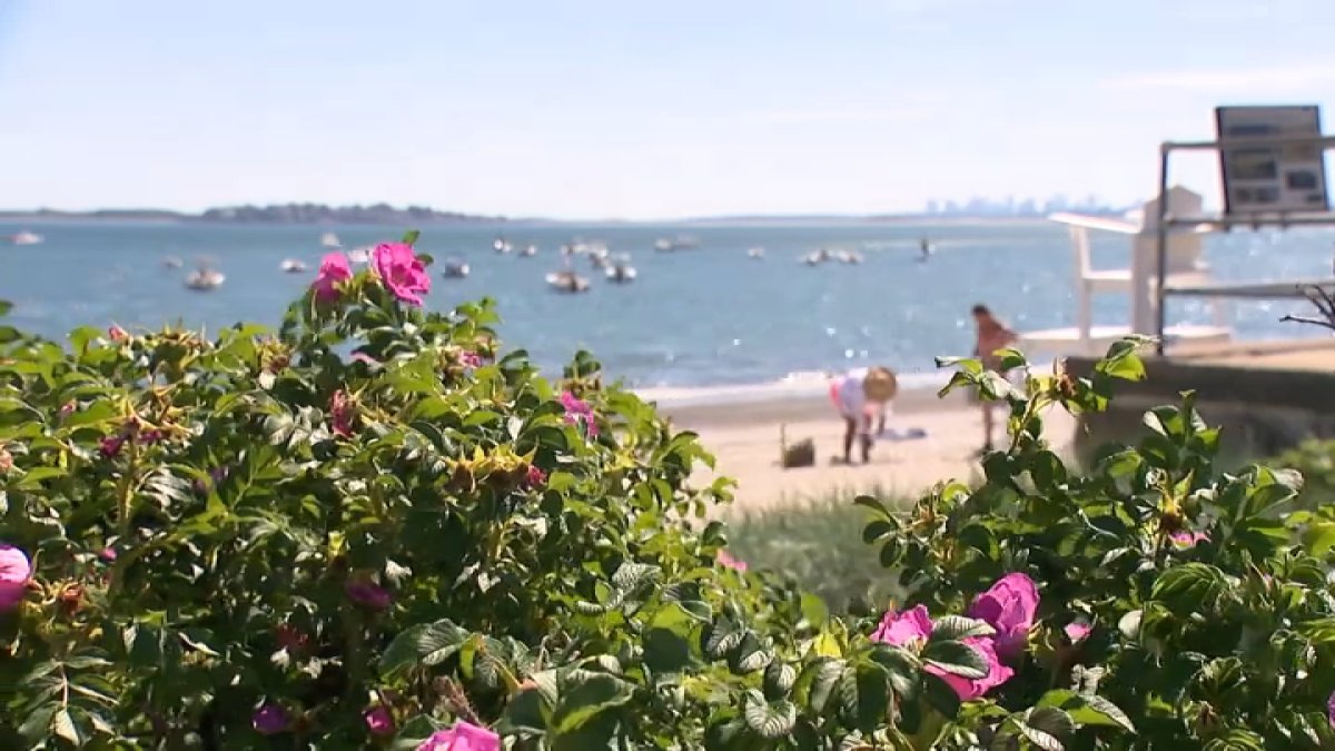 Police in New England are working to prevent ‘beach takeovers’ – NBC Boston