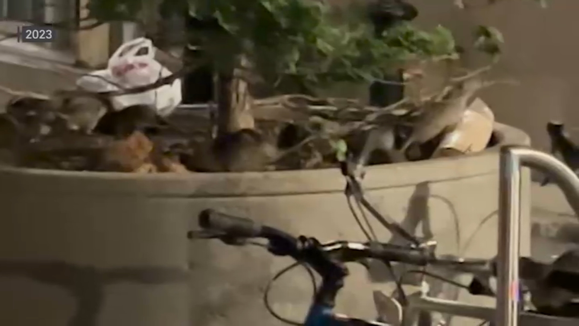 North End restaurant fights city’s plan to reinstall bike racks – NBC ...