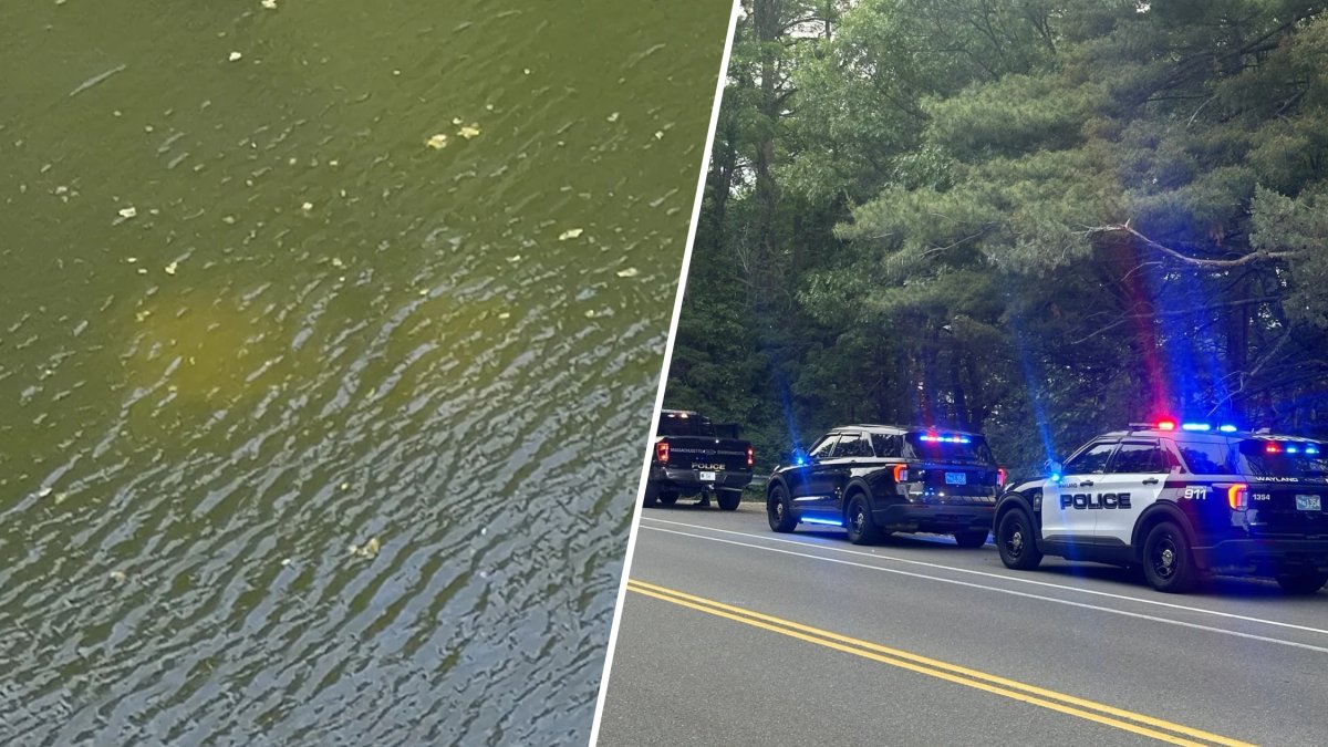 Pickup truck found submerged in Lake Cochituate