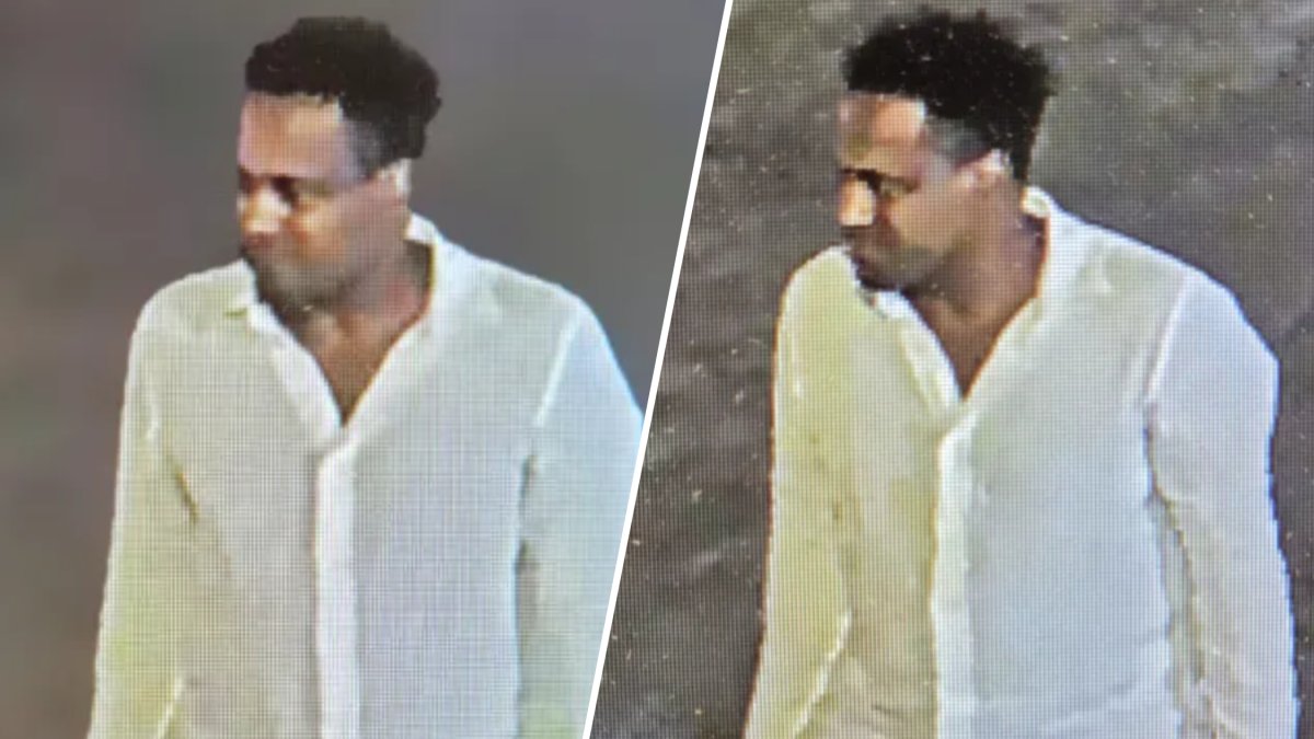 Assault News Image
