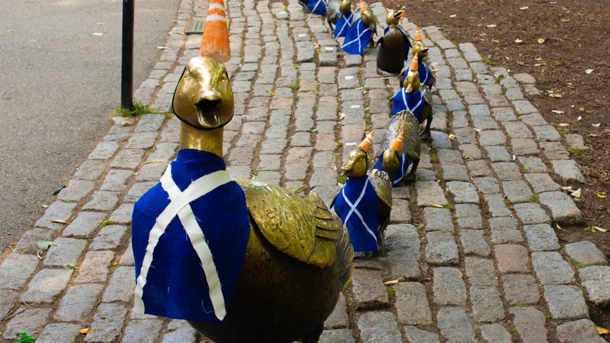 Team Scotland heads south, writes thank you to City and people of Boston