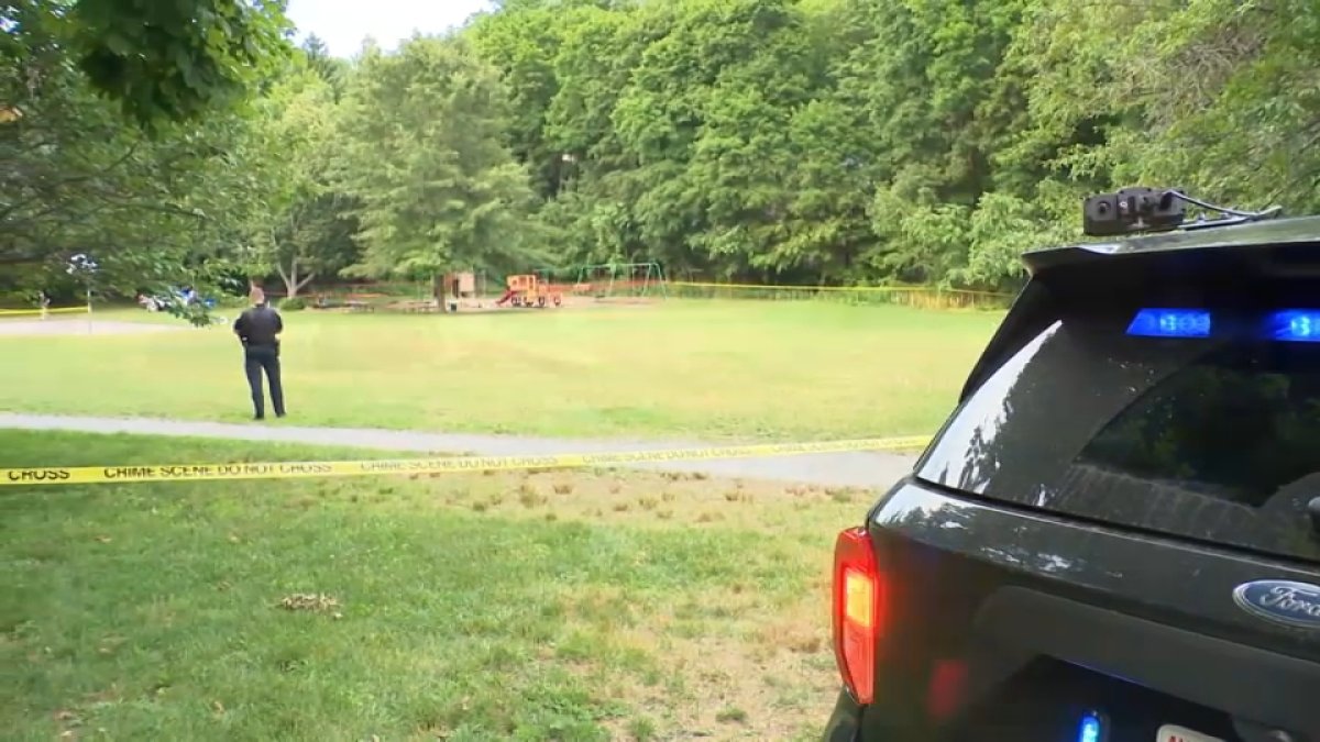 26-year-old due in court after deadly stabbing at Wellesley park
