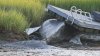 Body of dead humpback whale stuck under Winthrop dock for hours