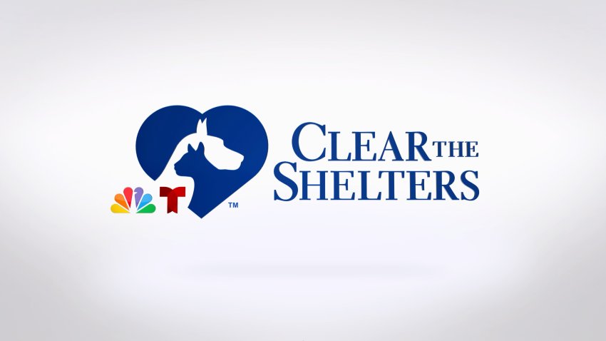 Clear the shelters