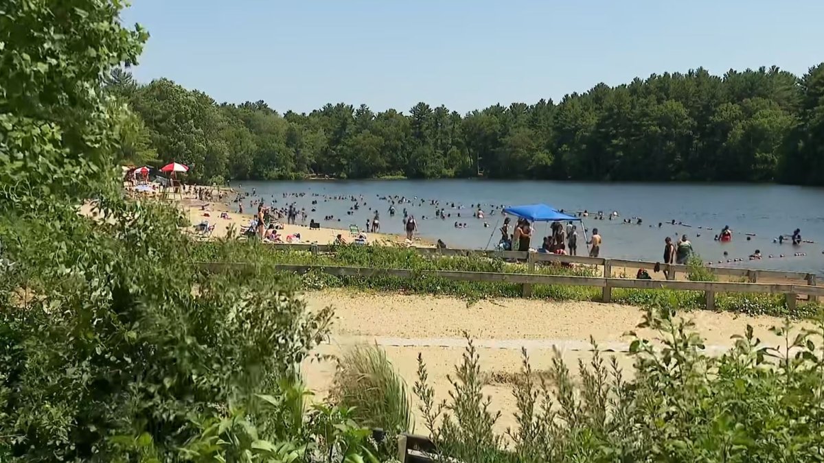 Swimmer rescued from Houghton's Pond in Milton