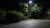Authorities investigate after human remains found in Randolph