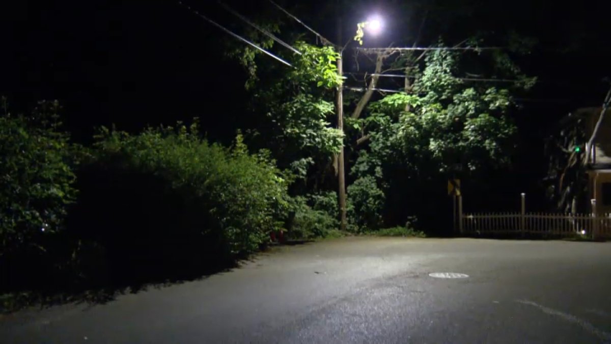 Authorities investigate after human remains found in Randolph