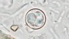 At least 9 cyclospora illnesses tied to NH hospital cafeteria food, officials say