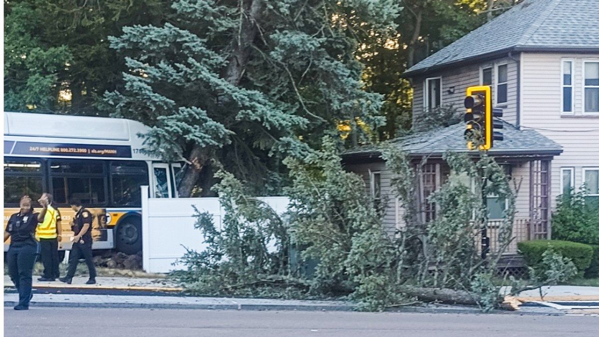 One person injured when MBTA bus crashes into tree, fence in Mattapan ...