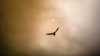 Here's what's giving the sky over New England that milky, hazy appearance