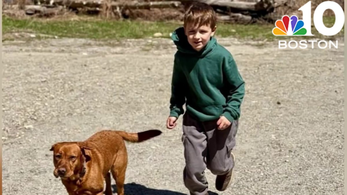 Child killed by falling tree in Wayland identified