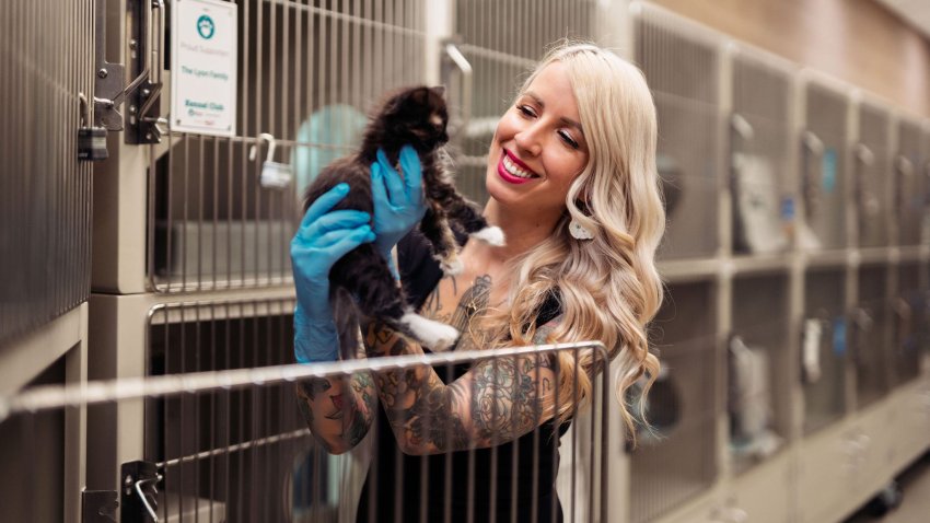 "Kitten Lady" Hannah Shaw holds a kitten