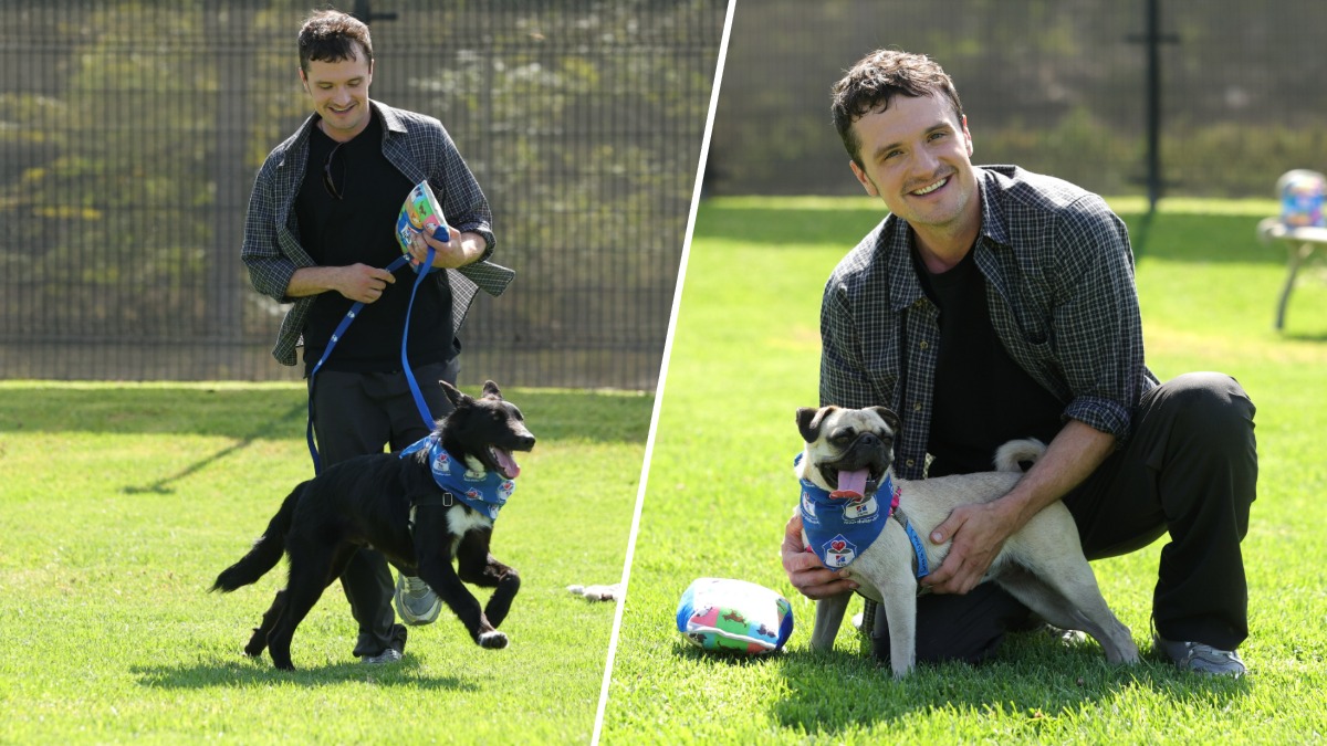 Why actor Josh Hutcherson visited a California animal shelter – NBC Boston