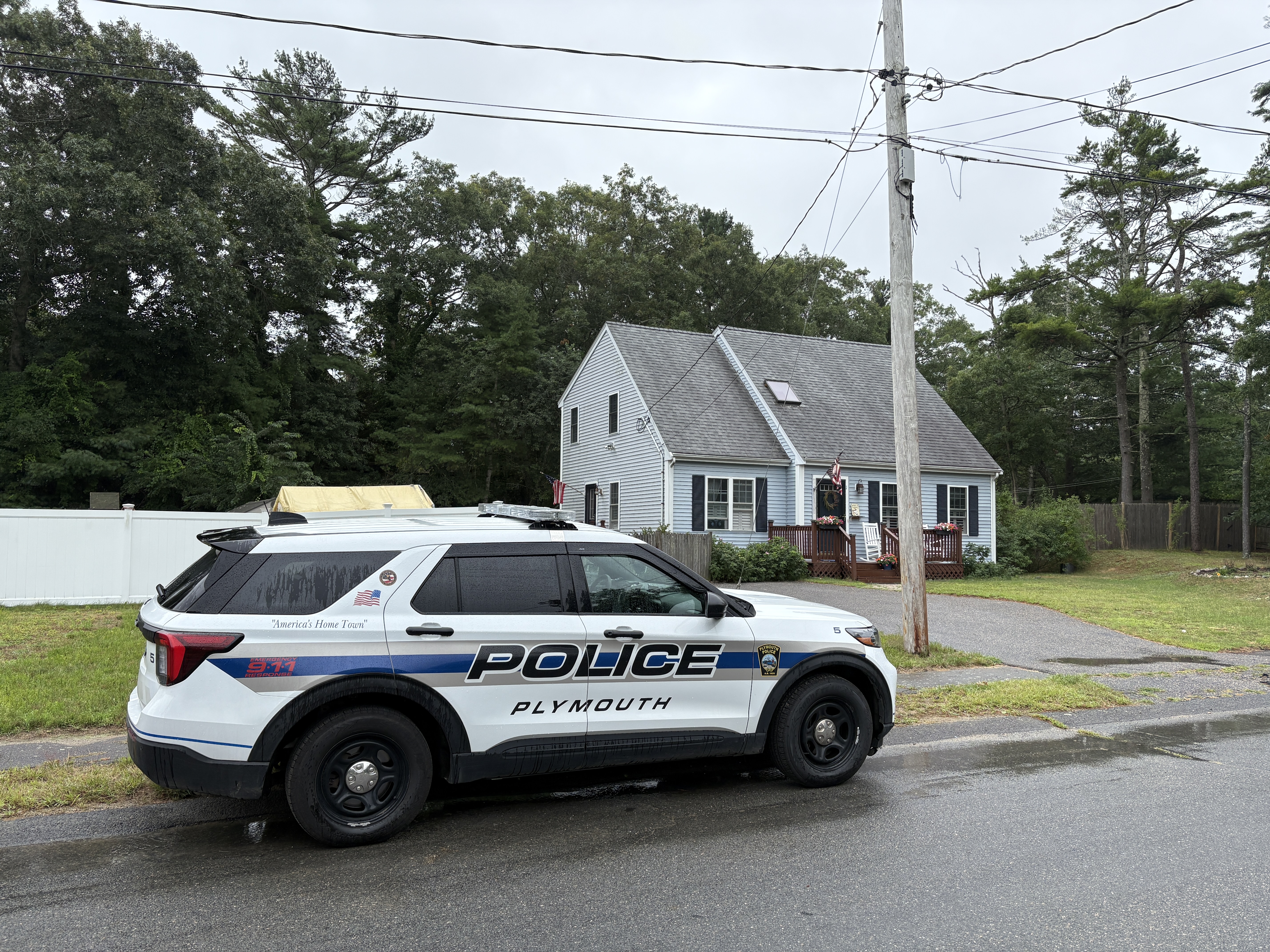 Woman severely injured by falling tree in Plymouth, officials say