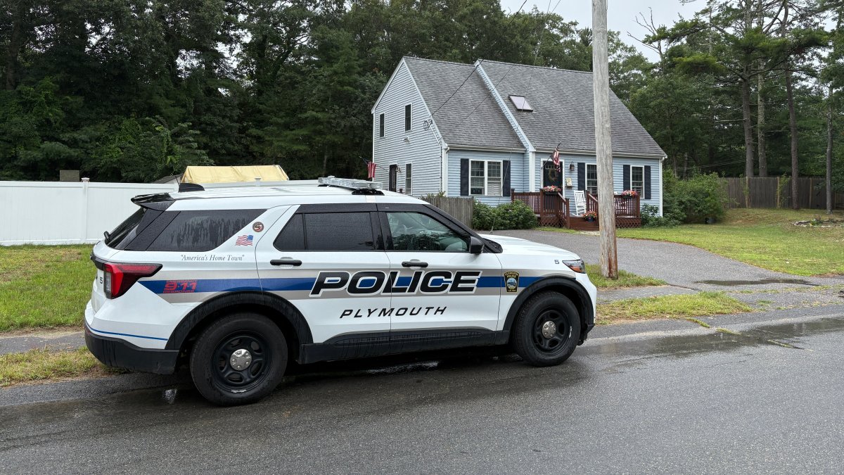 Woman severely injured by falling tree in Plymouth, officials say