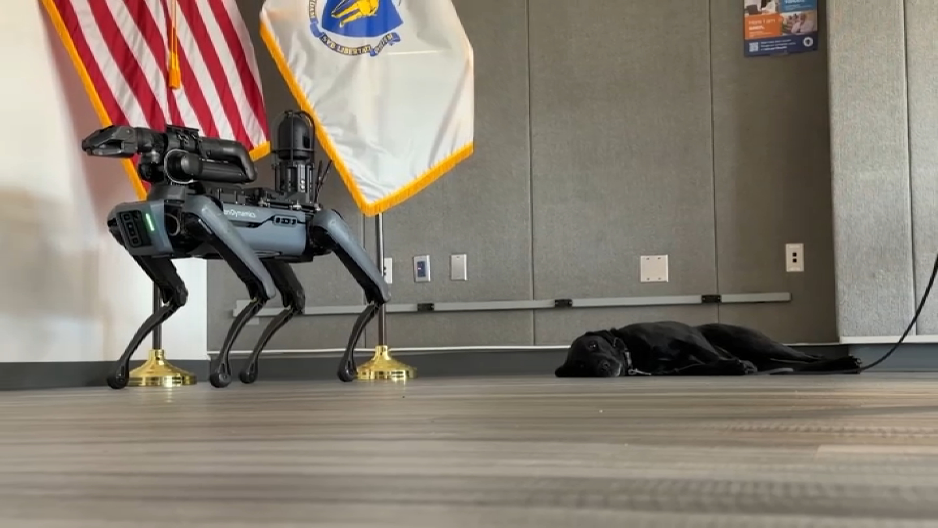 Law enforcement tech: Meet Mass. State Police’s robotic dog Spot – NBC ...