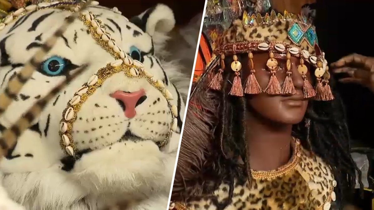 Meet a designer behind the vibrant costumes at Boston's Caribbean Carnival
