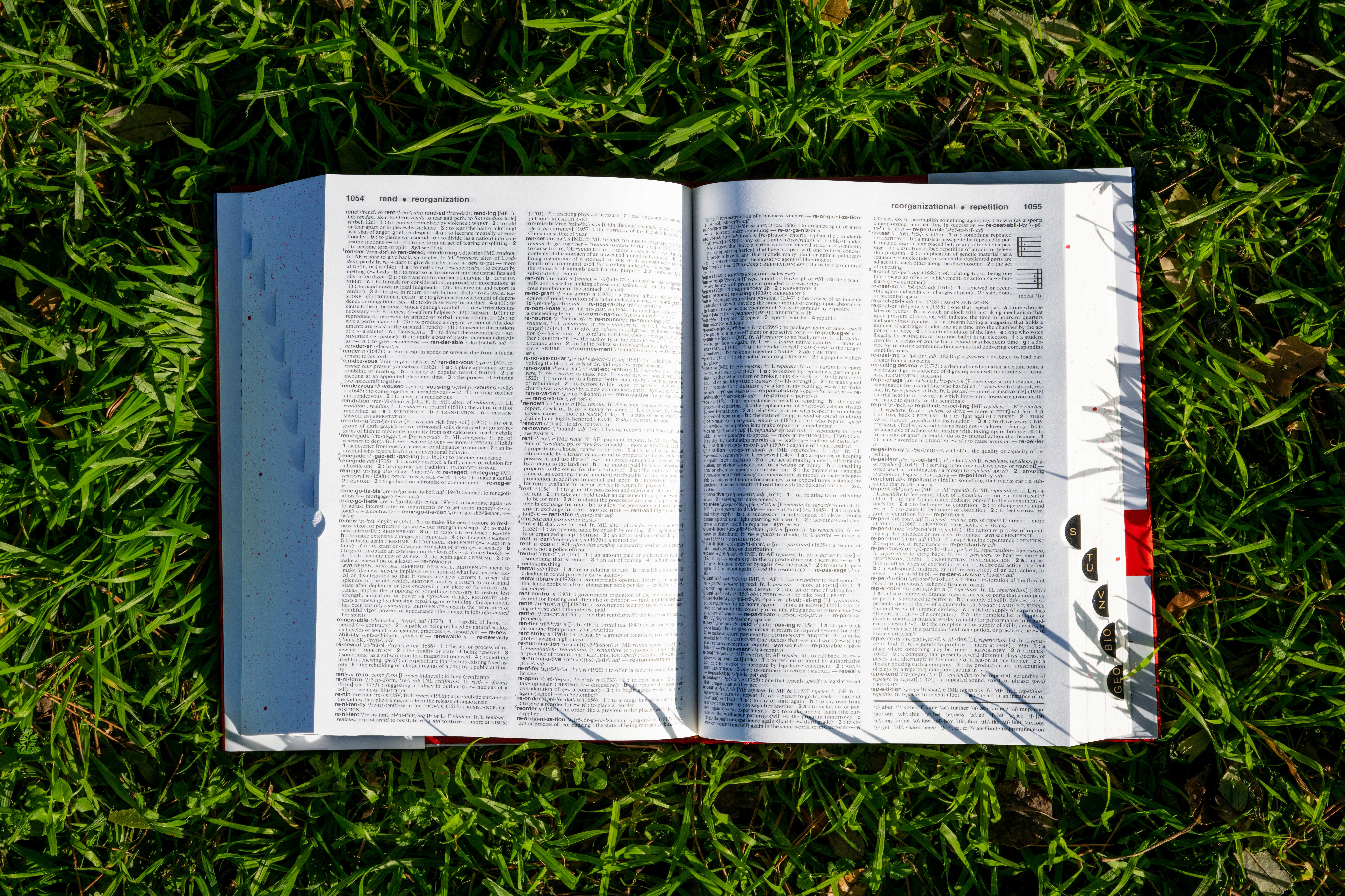 Merriam-Webster adds 1,400 new words and definitions – NBC Boston