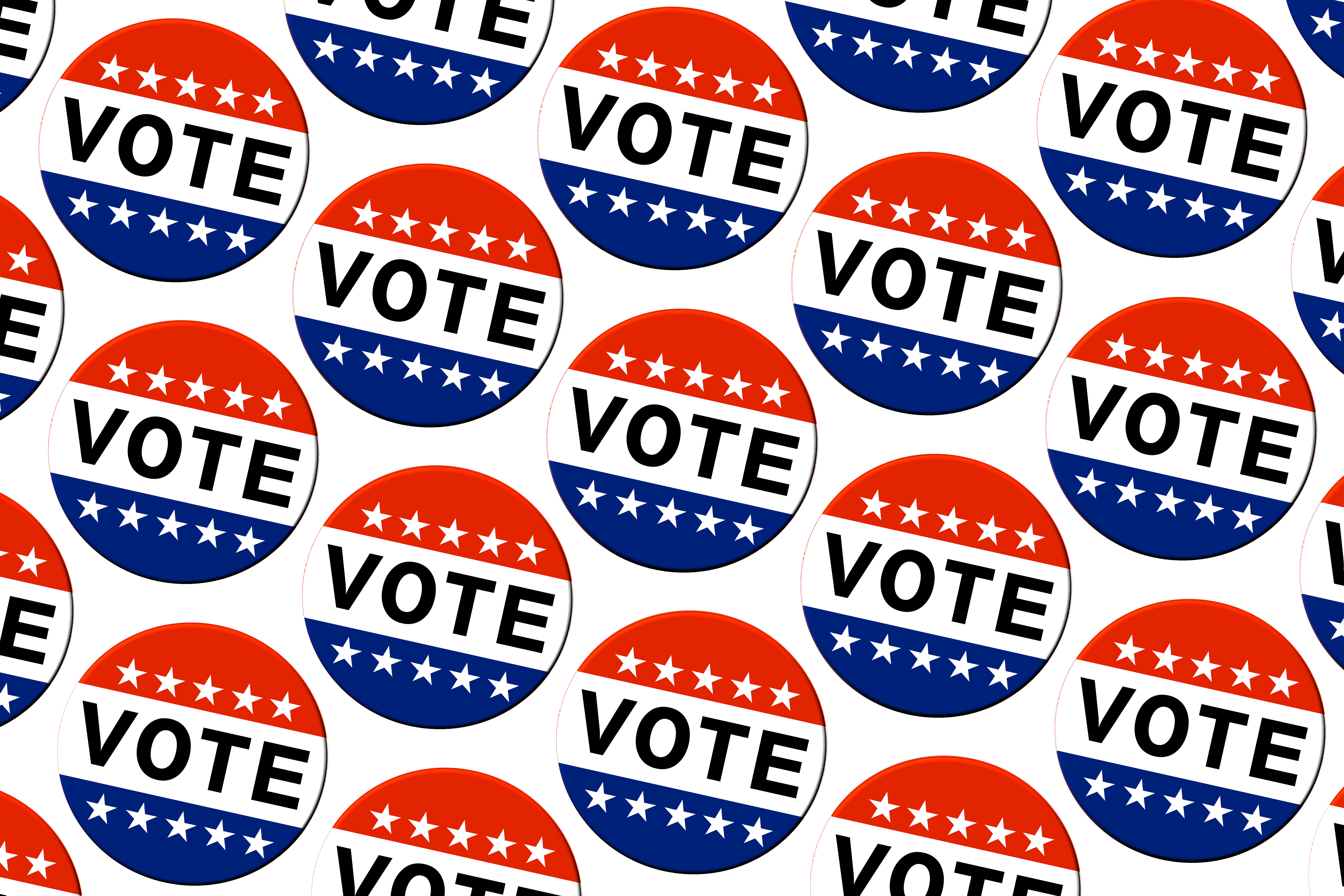 nbcboston.com - Thea DiGiammerino - Your guide to the 2026 Massachusetts ballot questions