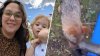 ‘Beautiful doggy': Haverhill man steps in to protect 2-year-old from coyote attack