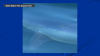 Great white shark spotted on Labor Day near Maine beach