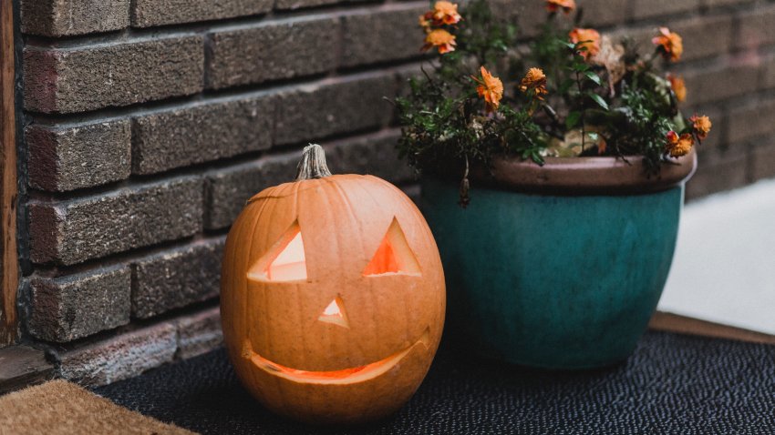 Pumpkin and orange flower  on a porch