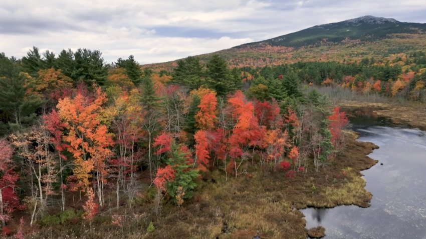 Trees showing off their fall colors in Jaffrey, New Hampshire, on Wednesday, Oct. 14, 2026.