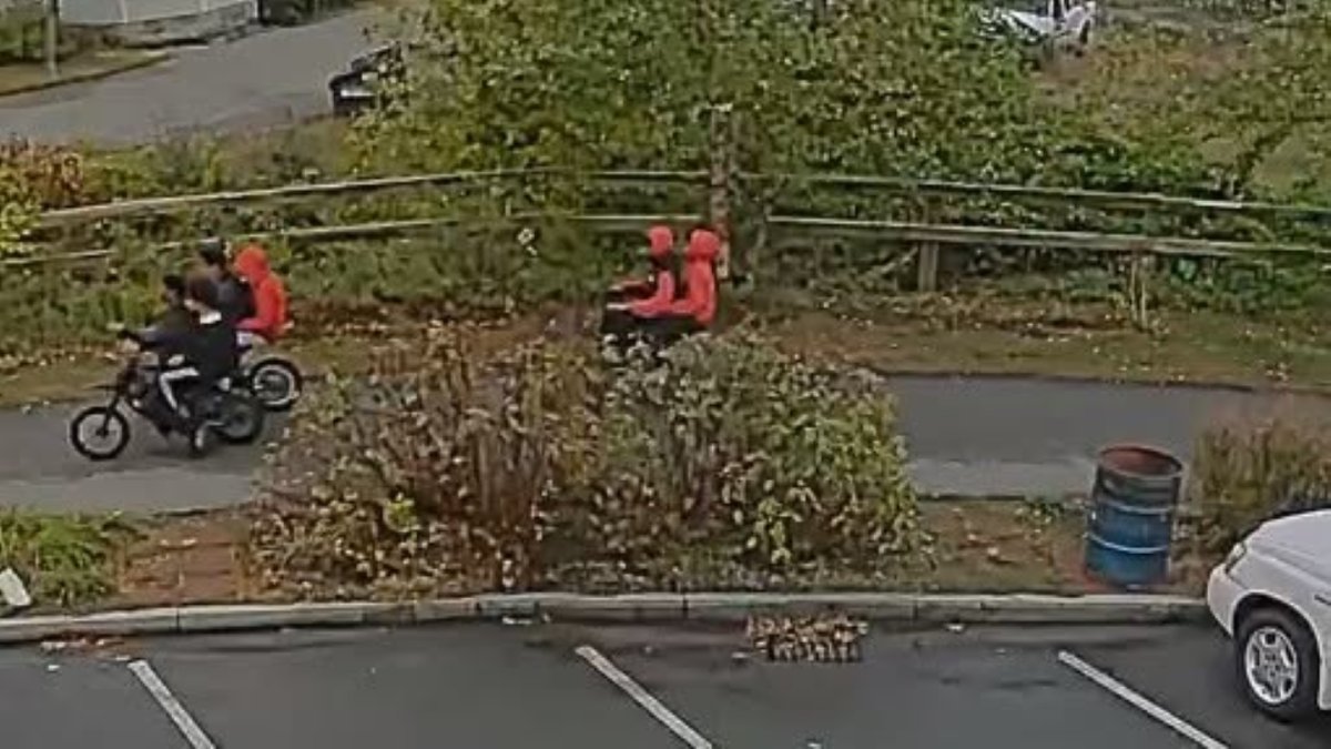 Assault News Image