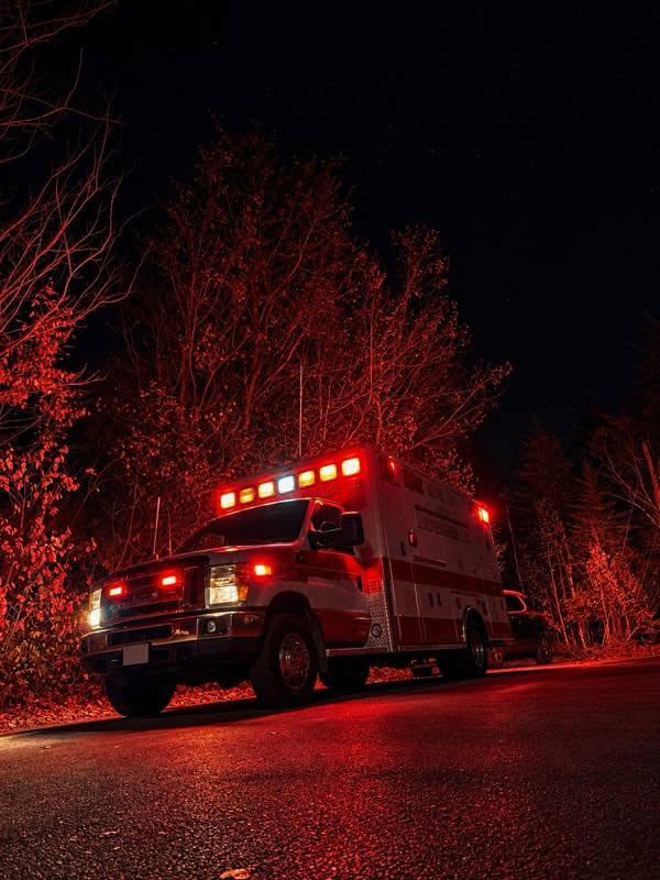 Man, 2 dogs die in NH house fire, second person flown to Boston with injuries