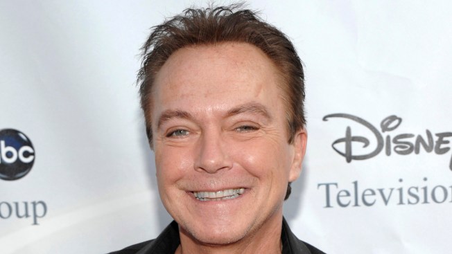 David Cassidy is in critical condition David Cassidy is in critical condition